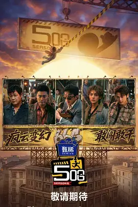 私人影院纪实综艺城市漫游者海报